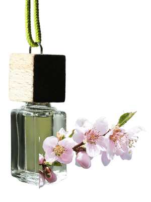 Apple Blossom & Fresh Cotton