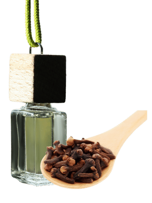 Authentic Clove Flower Scent