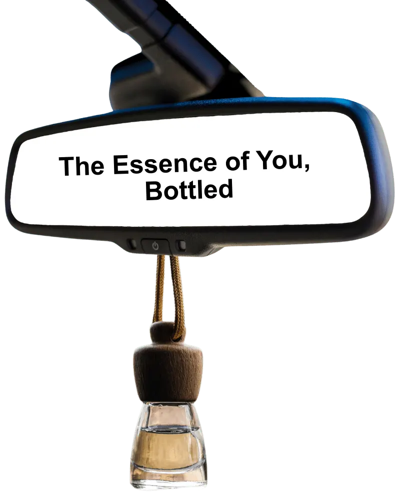 Drive in Style with Signature Car Fragrances