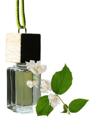 Jasmine _ Fresh Dew & Jasmine