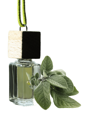 Sage _ Fresh Cut Sage