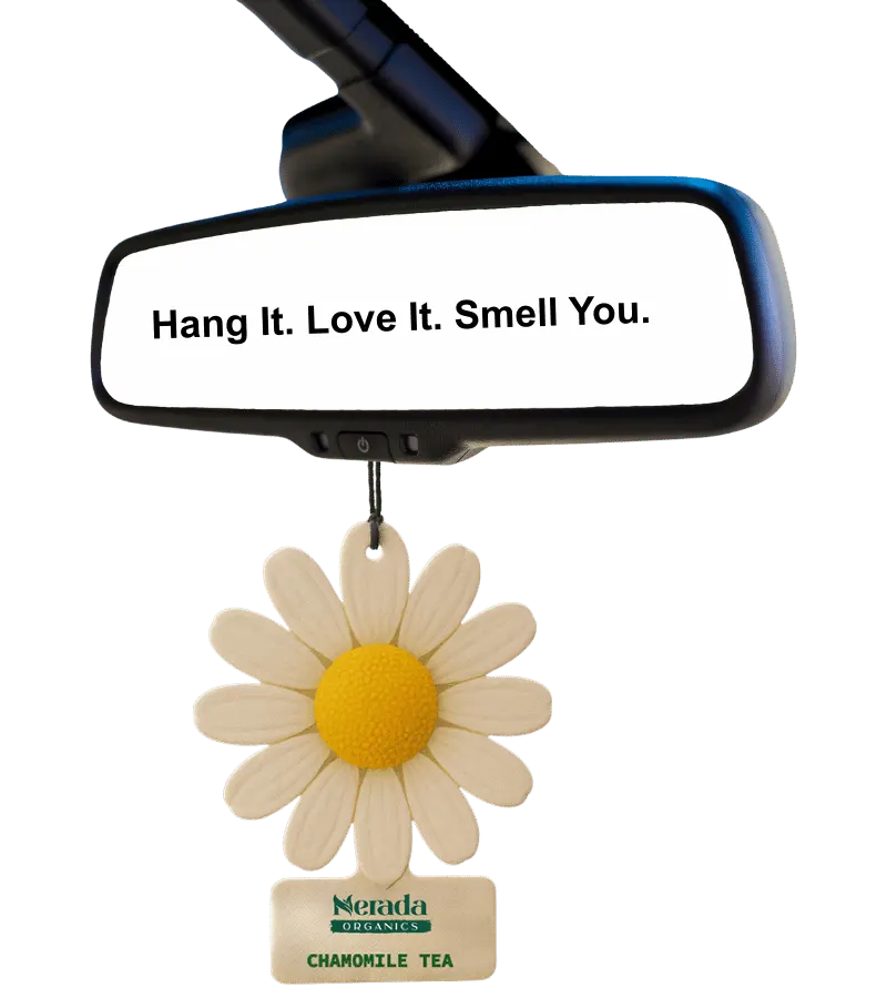 Style in Every Drive