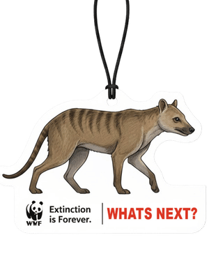 Thylacine Tasmanian tiger