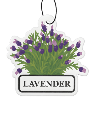Lavender Scent